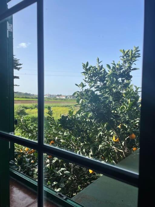 La Macadamia Villa La Laguna  Luaran gambar